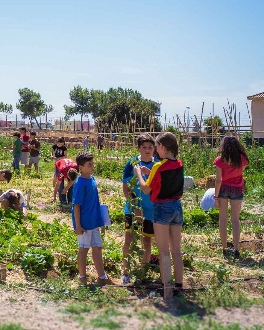 Premio Huertos Educativos 2019