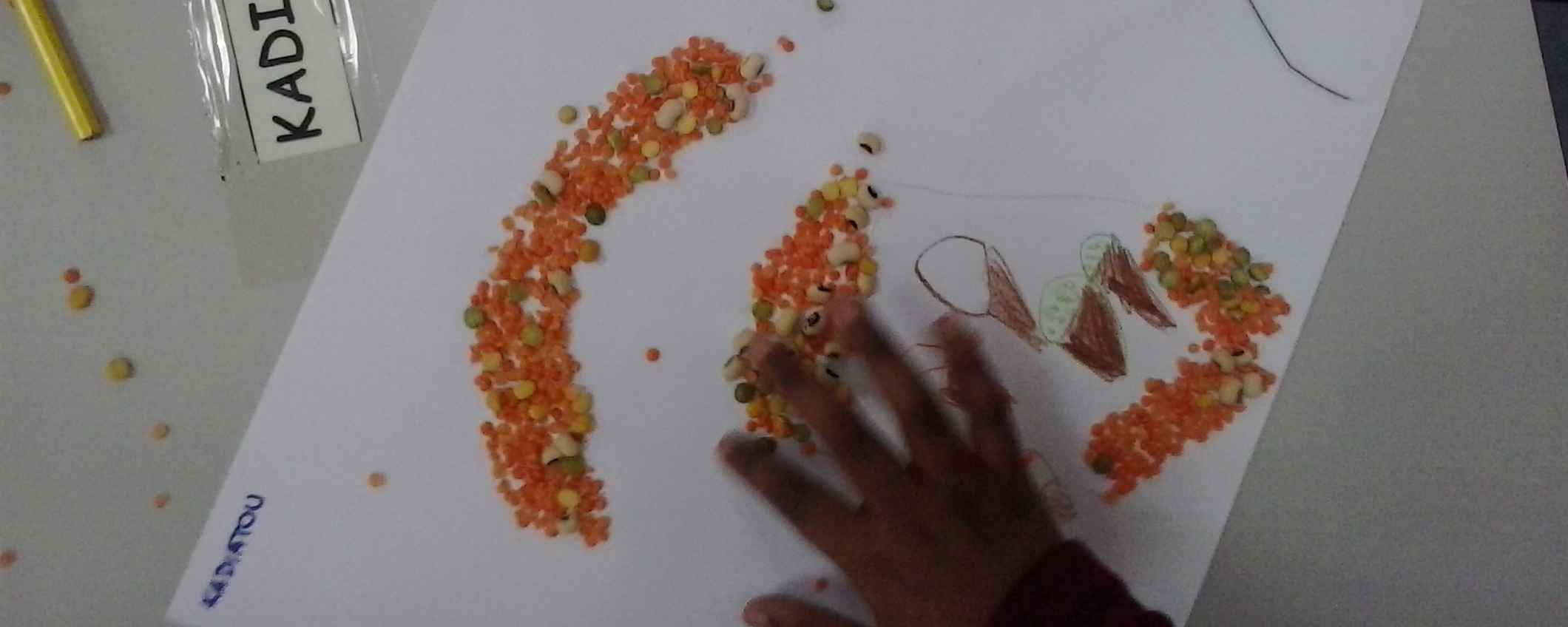 Germinando