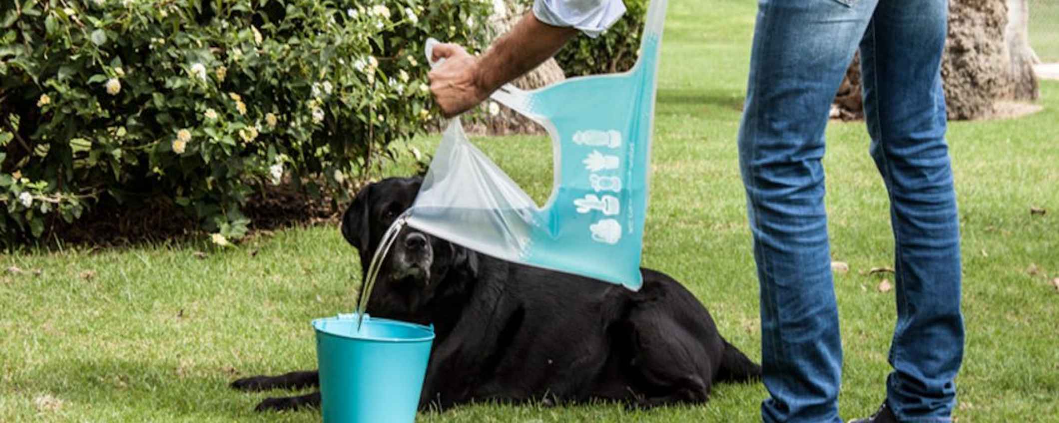 Cómo regar los huertos urbanos con el agua de la ducha