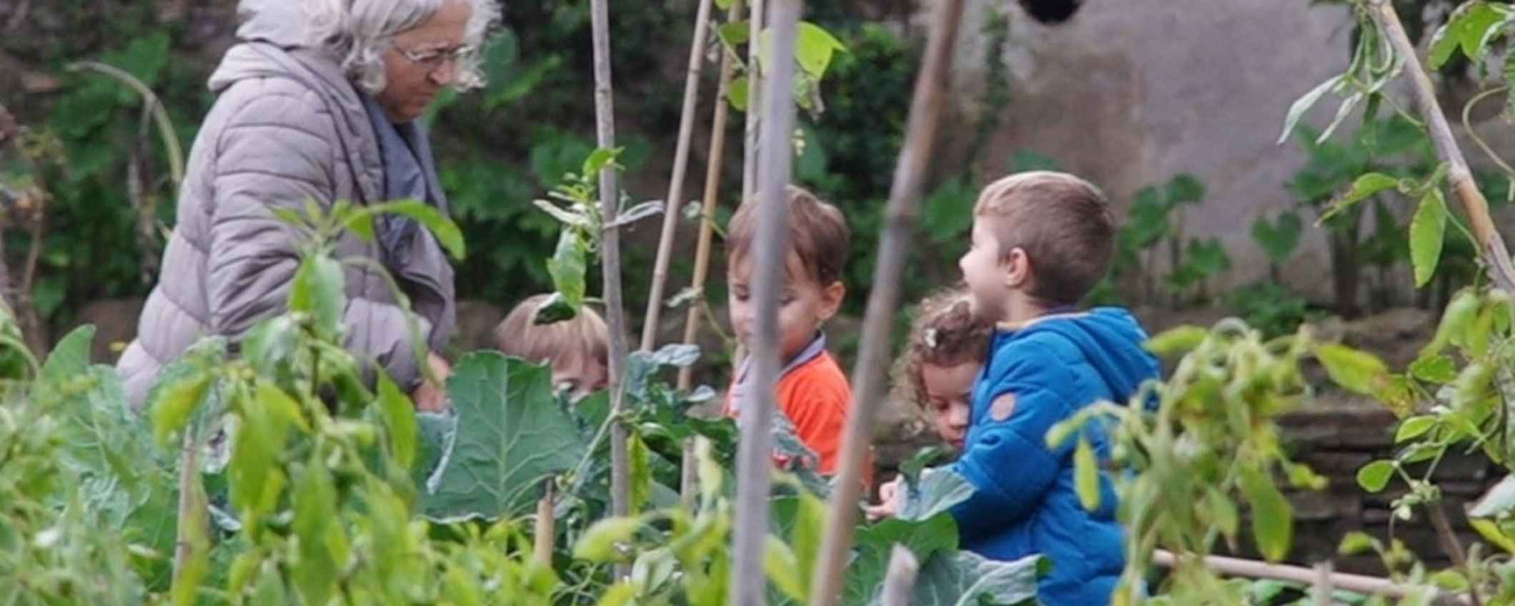 La horticultura en la pedagogía Waldorf