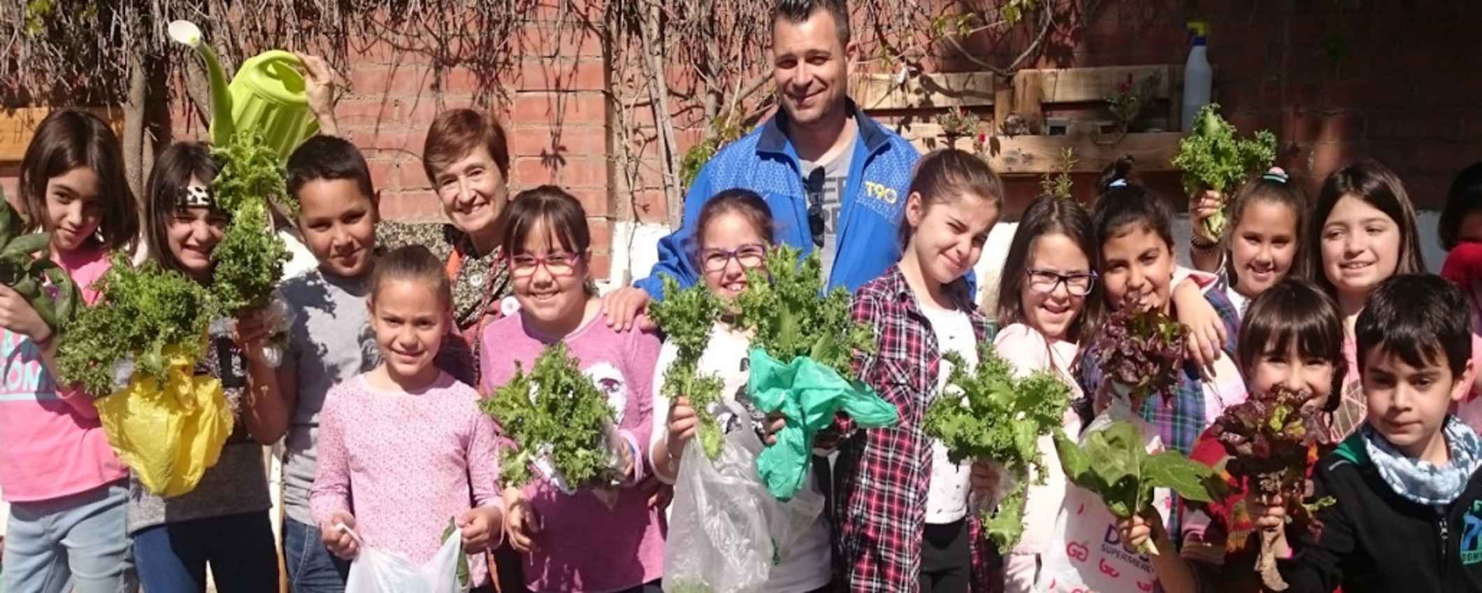 La importancia de vincular la educación ambiental con la educación emocional