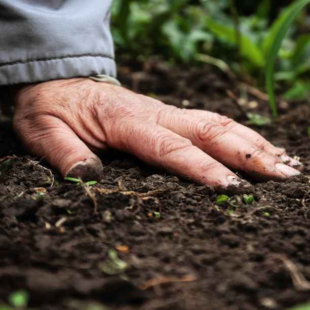 Fundación Triodos y Weleda seleccionan a los finalistas de su matchfunding contra la desertificación