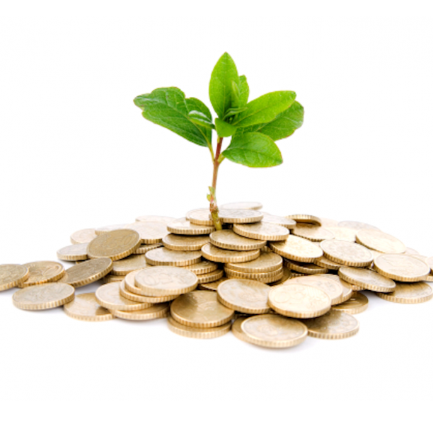 Financia mi huerto educativo, colectivamente