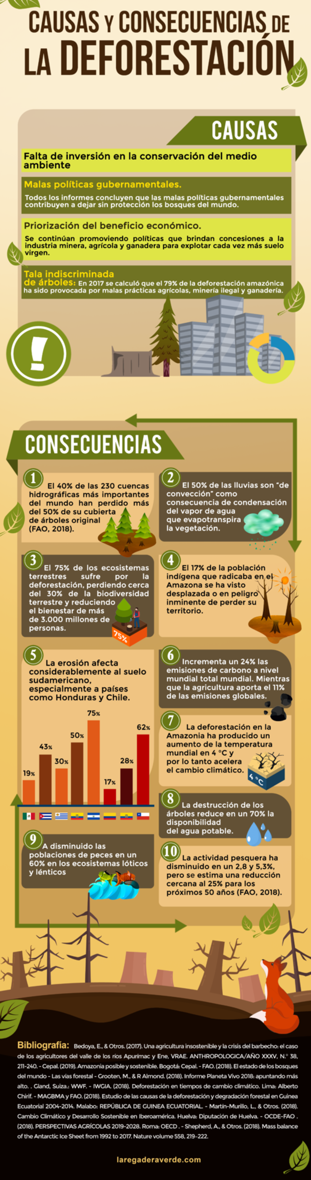 Deforestación, causas y consecuencias