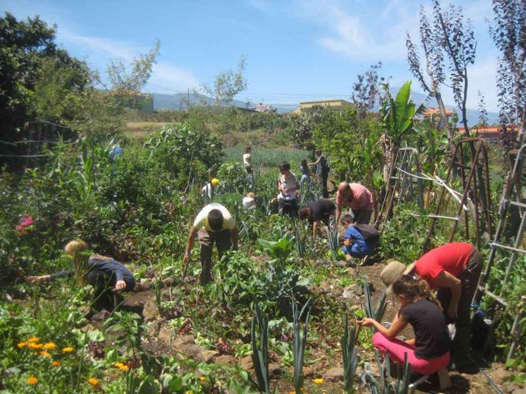“Lo hacemos en el huerto”, Asociación para el desarrollo de la permacultura. Tenerife.