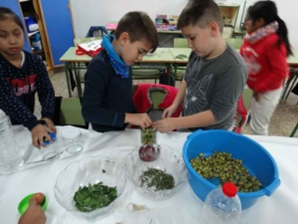 Taller de encurtido de olivas verdes