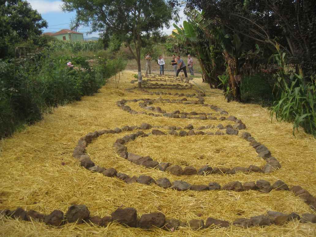Finca Mato