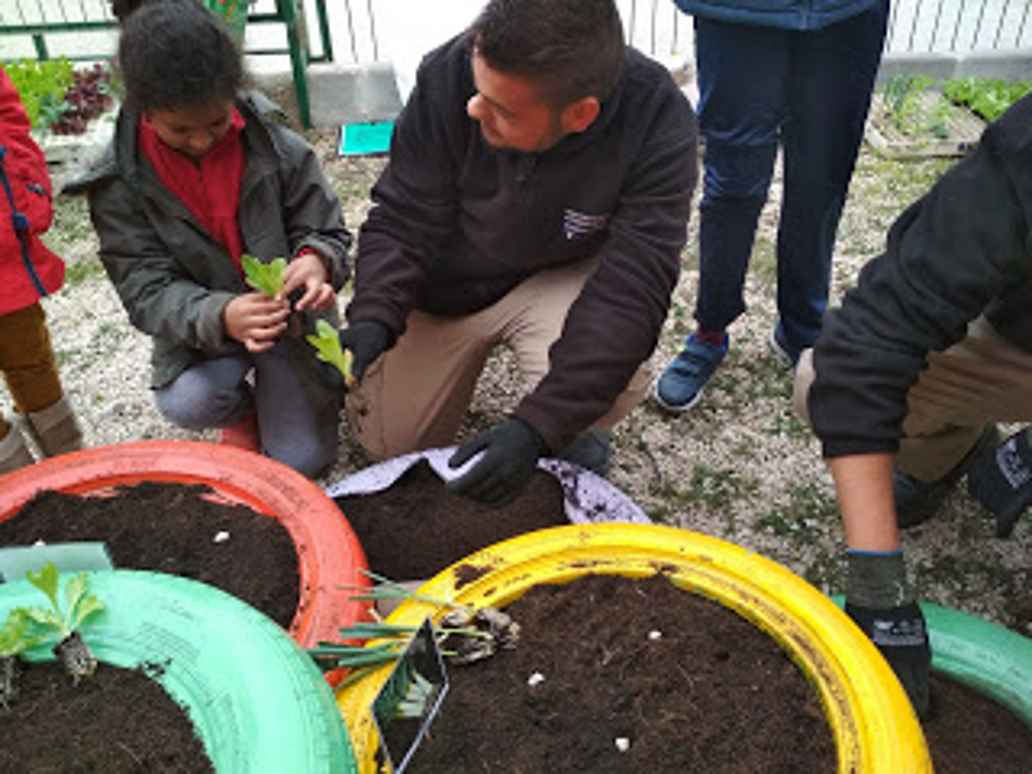 El huerto, un beneficio para todos