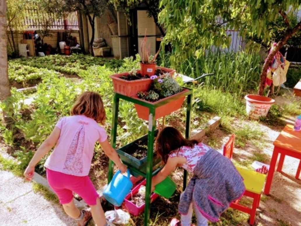 Reto Tomatero. Tomato Challenge